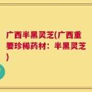 广西半黑灵芝(广西重要珍稀药材：半黑灵芝)