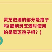 灵芝泡酒的部分是孢子吗(酿制灵芝酒时使用的是灵芝孢子吗？)