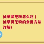 仙草灵芝粉怎么吃 (仙草灵芝粉的食用方法详解)