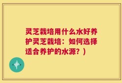 灵芝栽培用什么水好养护灵芝栽培：如何选择适合养护的水源？)