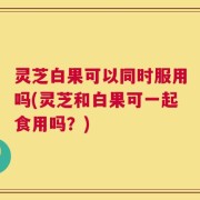 灵芝白果可以同时服用吗(灵芝和白果可一起食用吗？)