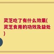 灵芝吃了有什么效果(灵芝食用的功效及益处)