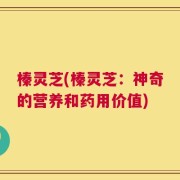 榛灵芝(榛灵芝：神奇的营养和药用价值)