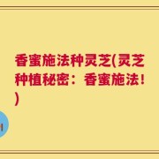 香蜜施法种灵芝(灵芝种植秘密：香蜜施法！)
