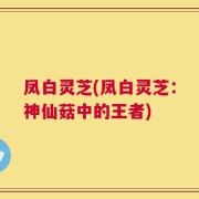 凤白灵芝(凤白灵芝：神仙菇中的王者)