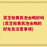 灵芝和黄芪泡水喝好吗(灵芝和黄芪泡水喝的好处及注意事项)