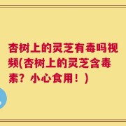 杏树上的灵芝有毒吗视频(杏树上的灵芝含毒素？小心食用！)