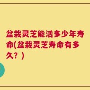 盆栽灵芝能活多少年寿命(盆栽灵芝寿命有多久？)