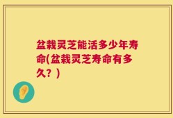 盆栽灵芝能活多少年寿命(盆栽灵芝寿命有多久？)