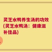灵芝水鸭养生汤的功效(灵芝水鸭汤：健康滋补佳品)