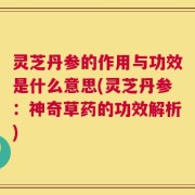 灵芝丹参的作用与功效是什么意思(灵芝丹参：神奇草药的功效解析)