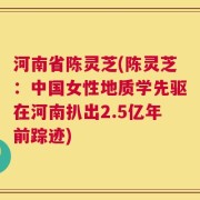 河南省陈灵芝(陈灵芝：中国女性地质学先驱在河南扒出2.5亿年前踪迹)