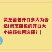 灵芝菌包开口多大为合适(灵芝菌包的开口大小应该如何选择？)