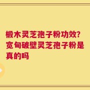 椴木灵芝孢子粉功效？宽甸破壁灵芝孢子粉是真的吗