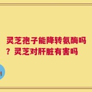 灵芝孢子能降转氨酶吗？灵芝对肝脏有害吗