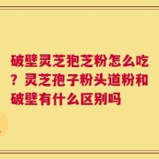 破壁灵芝狍芝粉怎么吃？灵芝孢子粉头道粉和破壁有什么区别吗