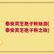 泰安灵芝孢子粉旅游(泰安灵芝孢子粉之旅)