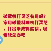 破壁机打灵芝有用吗？家用破壁料理机打灵芝，打出来成棉絮状，嚼着硬怎吞吃