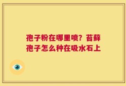 孢子粉在哪里喷？苔藓孢子怎么种在吸水石上