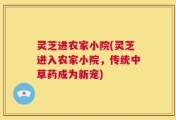 灵芝进农家小院(灵芝进入农家小院，传统中草药成为新宠)
