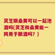 灵芝跟桑黄可以一起泡酒吗(灵芝和桑黄能一同用于酿酒吗？)