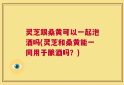 灵芝跟桑黄可以一起泡酒吗(灵芝和桑黄能一同用于酿酒吗？)