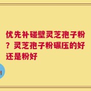 优先补碰壁灵芝孢子粉？灵芝孢子粉碾压的好还是粉好