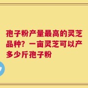 孢子粉产量最高的灵芝品种？一亩灵芝可以产多少斤孢子粉