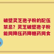 破壁灵芝孢子粉的配伍禁忌？灵芝破壁孢子粉能同降压药降糖药同食