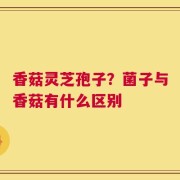 香菇灵芝孢子？菌子与香菇有什么区别