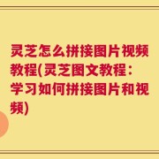 灵芝怎么拼接图片视频教程(灵芝图文教程：学习如何拼接图片和视频)