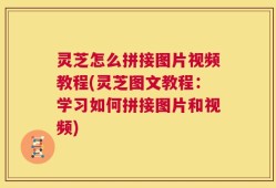 灵芝怎么拼接图片视频教程(灵芝图文教程：学习如何拼接图片和视频)