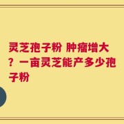 灵芝孢子粉 肿瘤增大？一亩灵芝能产多少孢子粉