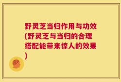 野灵芝当归作用与功效(野灵芝与当归的合理搭配能带来惊人的效果)
