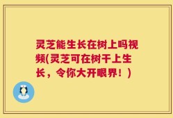 灵芝能生长在树上吗视频(灵芝可在树干上生长，令你大开眼界！)