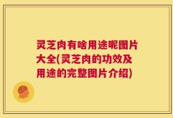 灵芝肉有啥用途呢图片大全(灵芝肉的功效及用途的完整图片介绍)