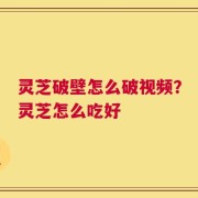 灵芝破壁怎么破视频？灵芝怎么吃好