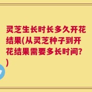 灵芝生长时长多久开花结果(从灵芝种子到开花结果需要多长时间？)