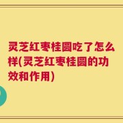 灵芝红枣桂圆吃了怎么样(灵芝红枣桂圆的功效和作用)