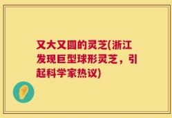 又大又圆的灵芝(浙江发现巨型球形灵芝，引起科学家热议)