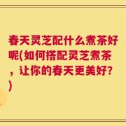 春天灵芝配什么煮茶好呢(如何搭配灵芝煮茶，让你的春天更美好？)