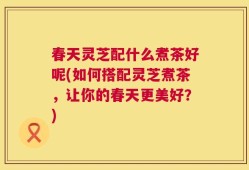 春天灵芝配什么煮茶好呢(如何搭配灵芝煮茶，让你的春天更美好？)