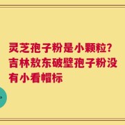 灵芝孢子粉是小颗粒？吉林敖东破壁孢子粉没有小看帽标