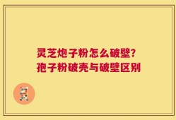 灵芝炮子粉怎么破壁？孢子粉破壳与破壁区别