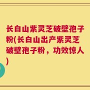 长白山紫灵芝破壁孢子粉(长白山出产紫灵芝破壁孢子粉，功效惊人)