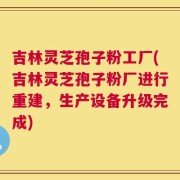 吉林灵芝孢子粉工厂(吉林灵芝孢子粉厂进行重建，生产设备升级完成)