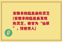 安徽阜阳临泉县陈灵芝(安徽阜阳临泉县发现陈灵芝，被誉为“仙草”，惊艳世人)