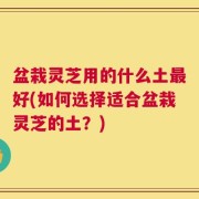 盆栽灵芝用的什么土最好(如何选择适合盆栽灵芝的土？)