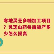 寒地灵芝多糖加工项目？灵芝山药每亩能产多少怎么提高