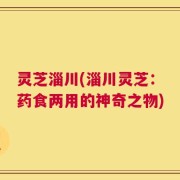 灵芝淄川(淄川灵芝：药食两用的神奇之物)